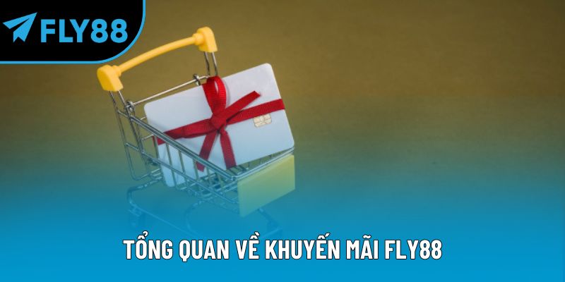 Tổng quan về khuyến mãi Fly88